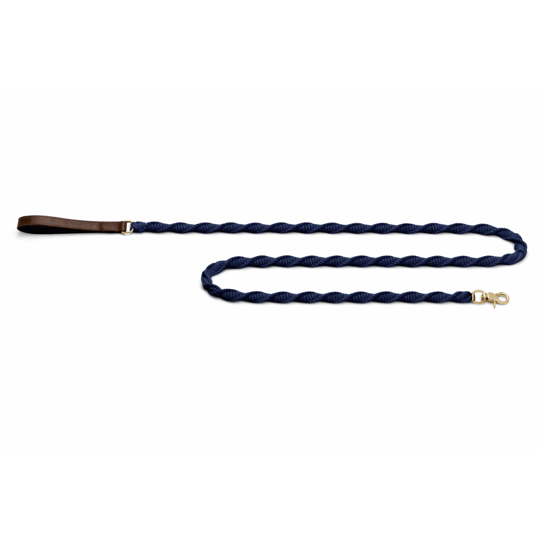 Seaside Dog Leash