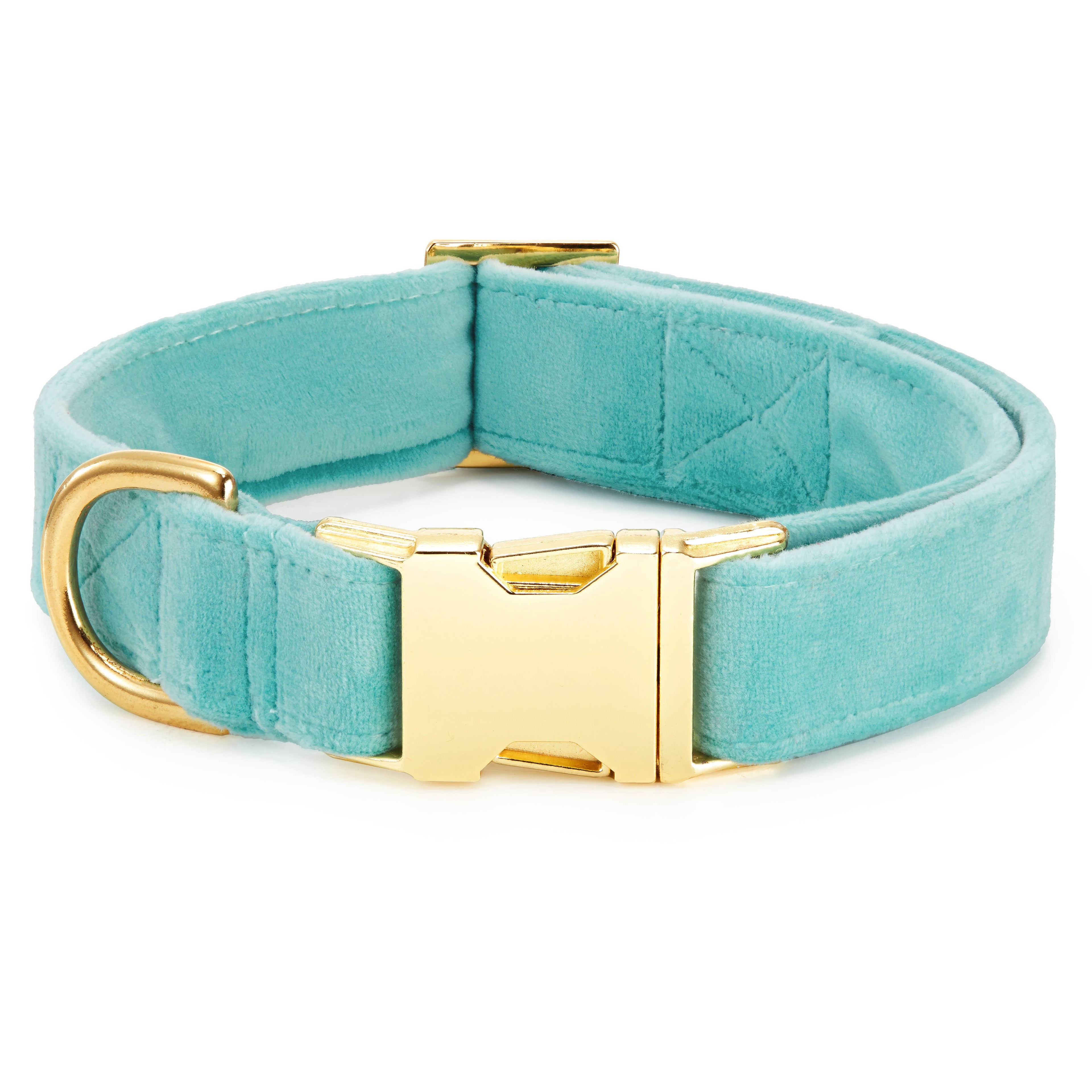 Robin's Egg Blue Velvet Spring Dog Collar