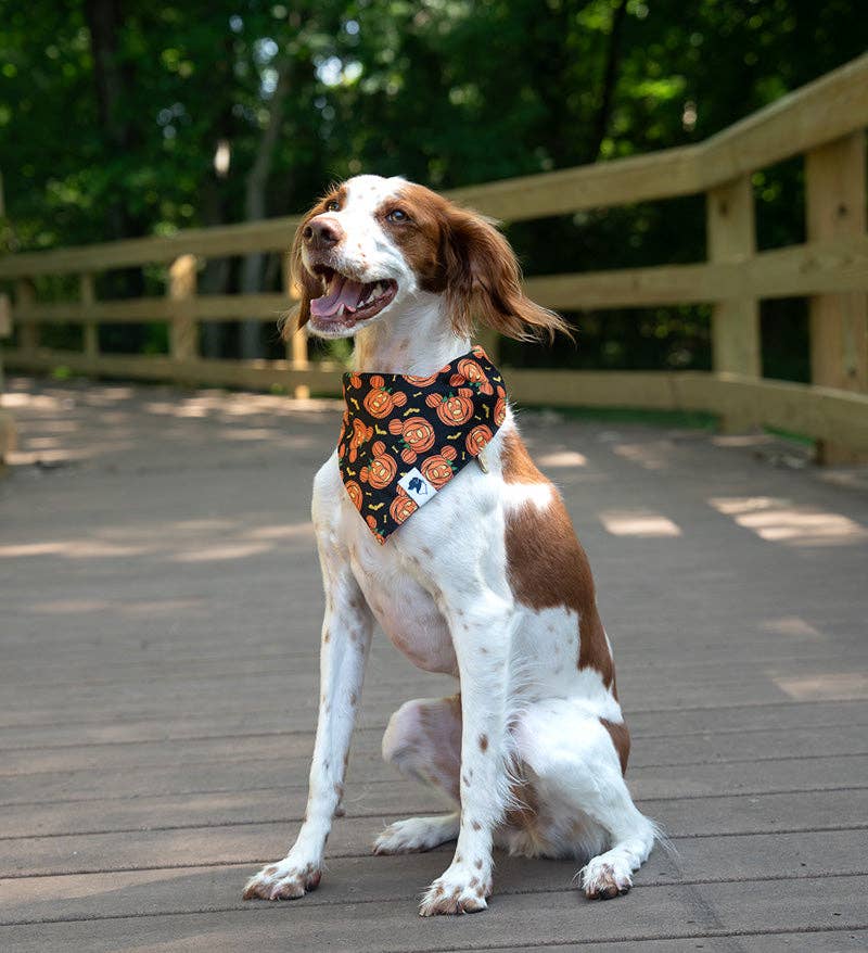 Fall Cookie Dog Bandana