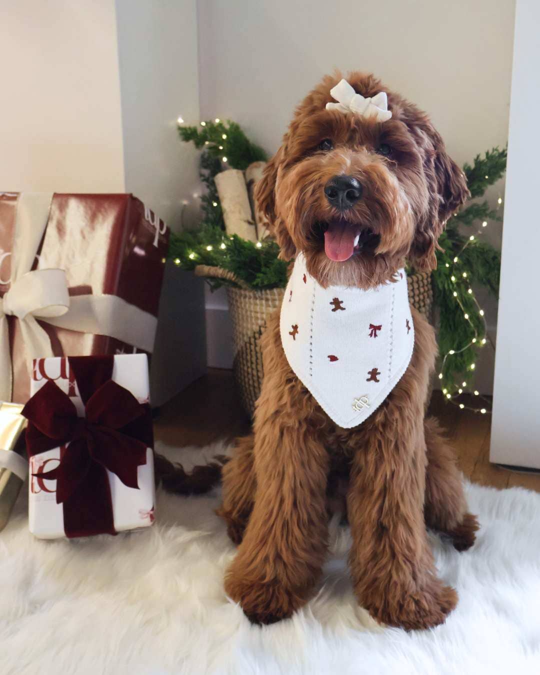 CHRISTMAS DOG BANDANA | SUGAR AND SPICE
