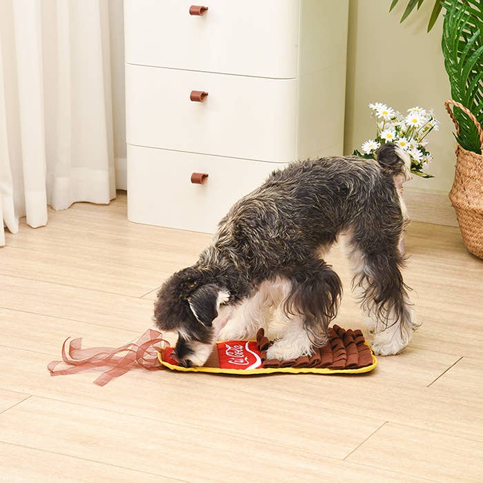 Cat Cola - Snuffle Toy