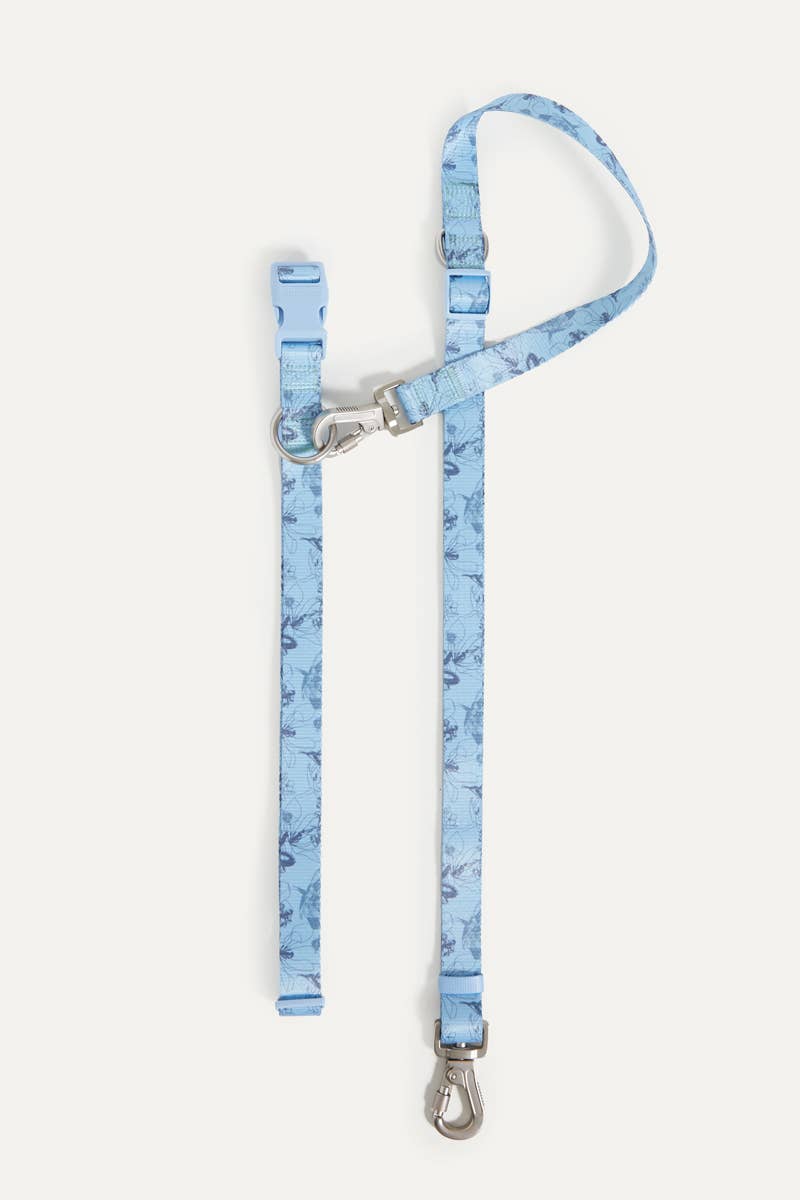 Bridgerton x maxbone Walk Set for Dogs: Large