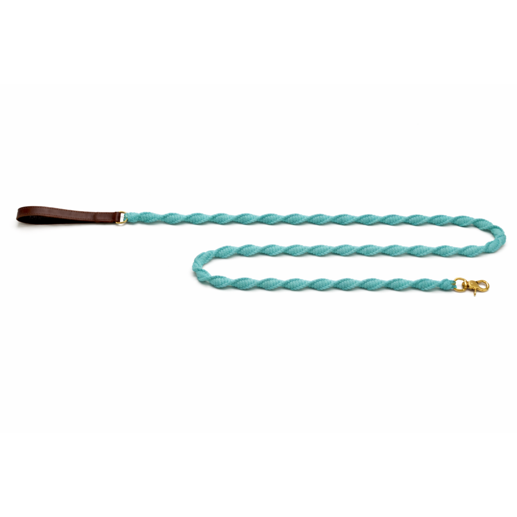 Seaside Dog Leash