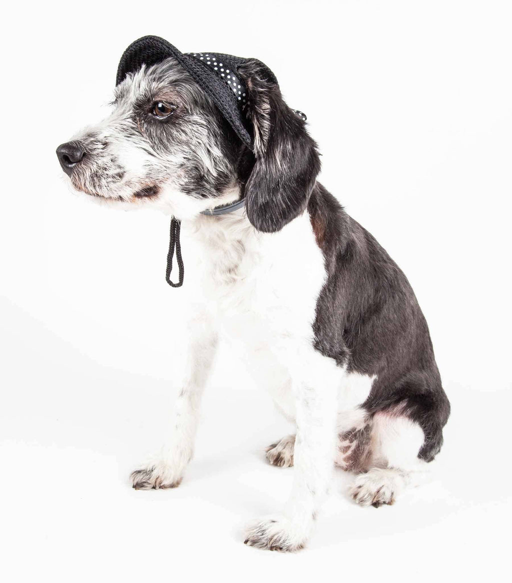 UV Protectant Adjustable Dog Hat Cap