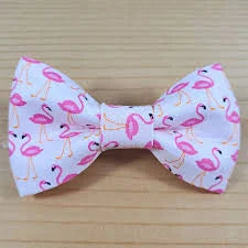 Cheeky Chic Bowties