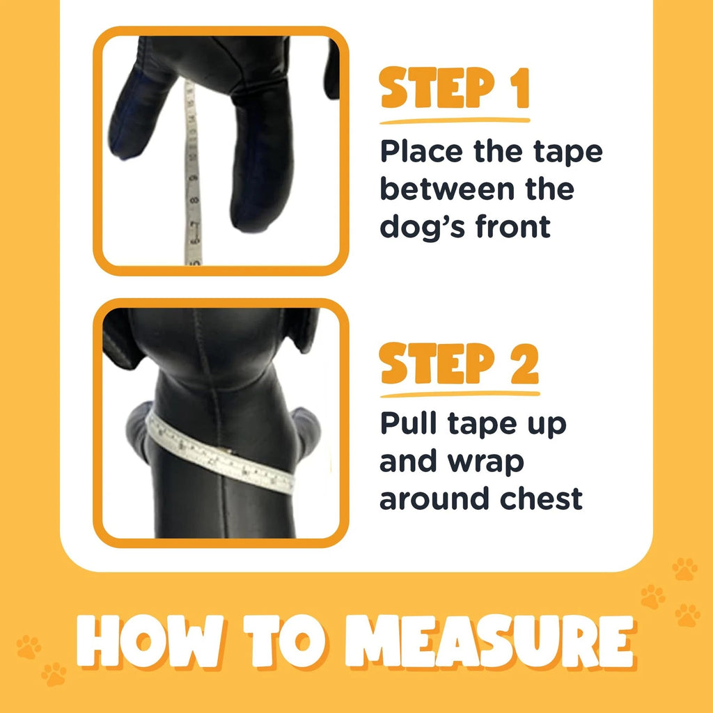 Bark Appeal Harness Blue