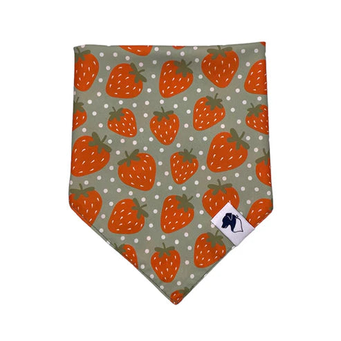 Strawberry & Watermelon Double-Sided Dog Bandanas