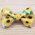 Cheeky Chic Bowties