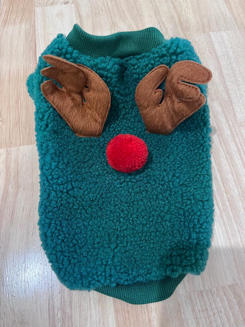 Green Fleece with Antlers and Red Nose