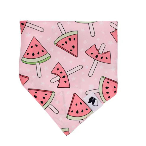 Strawberry & Watermelon Double-Sided Dog Bandanas